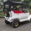 Superior-Quality-Graceful-5-Seater-Vintage-Electric-Car (4) Superior Quality Graceful 5 Seater Vintage Electric Car