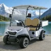 Two Seats Electric Mini Golf Cart