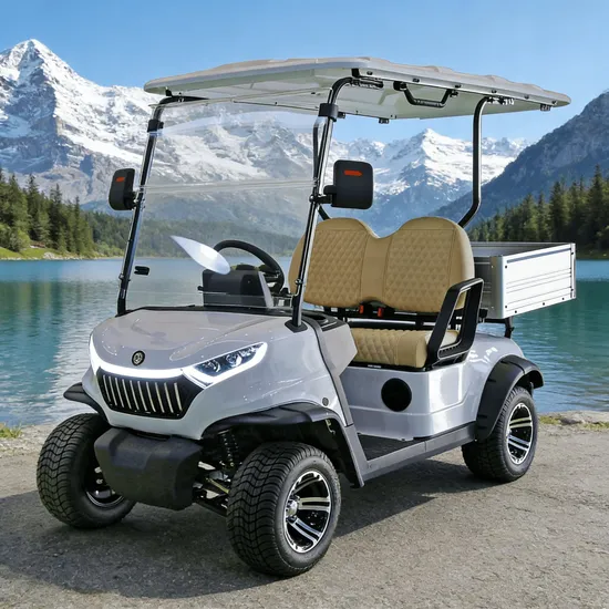 Two Seats Electric Mini Golf Cart