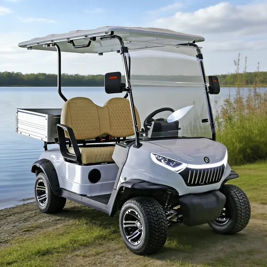 Two Seats Electric Mini Golf Cart