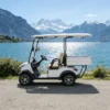 Two Seats Electric Mini Golf Cart