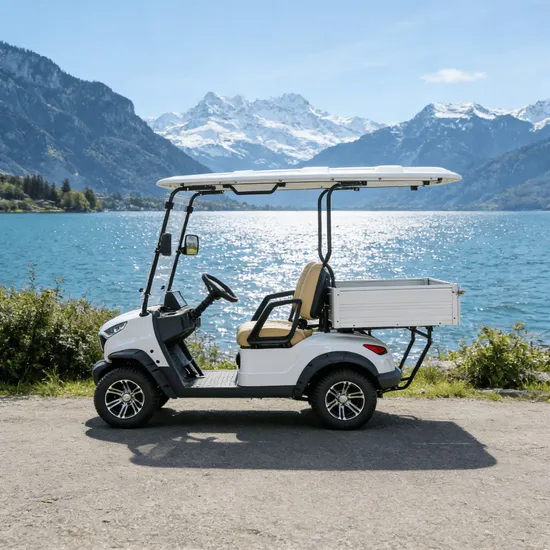 Two Seats Electric Mini Golf Cart