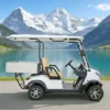 Two Seats Electric Mini Golf Cart