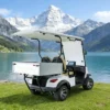 Two Seats Electric Mini Golf Cart