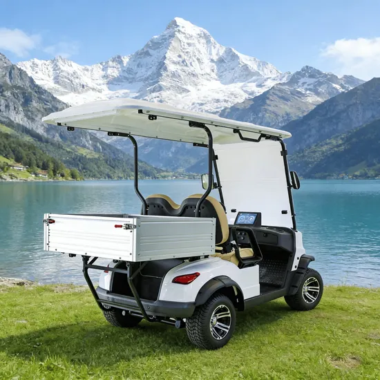 Two Seats Electric Mini Golf Cart