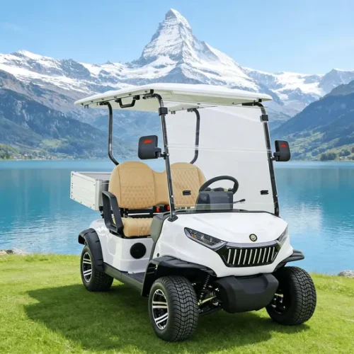 Two Seats Electric Mini Golf Cart