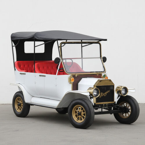 Fashion Design Luxury 48V Electric Car Utility Vehicle