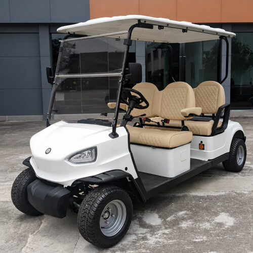 4 Person Golf Cart with LED Headlight