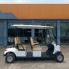 4 Person Golf Cart with LED Headlight